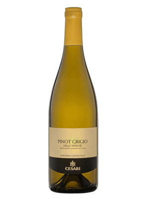 Cesari Pinot Grigio (Italy)
